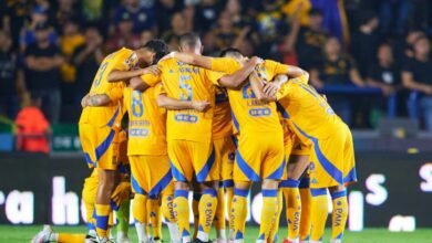 Tigres responde a palabras de Siboldi