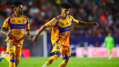 Ver GRATIS Tigres vs Atlético de San Luis EN VIVO Cuartos de Final Vuelta Apertura 2024 Liga MX