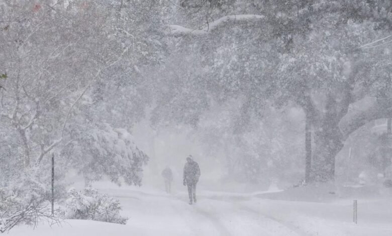 Imágenes de la nevada en Nueva Orleans